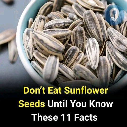 Before You Snack on Sunflower Seeds, Know These 11 Sh.oc.king Facts
