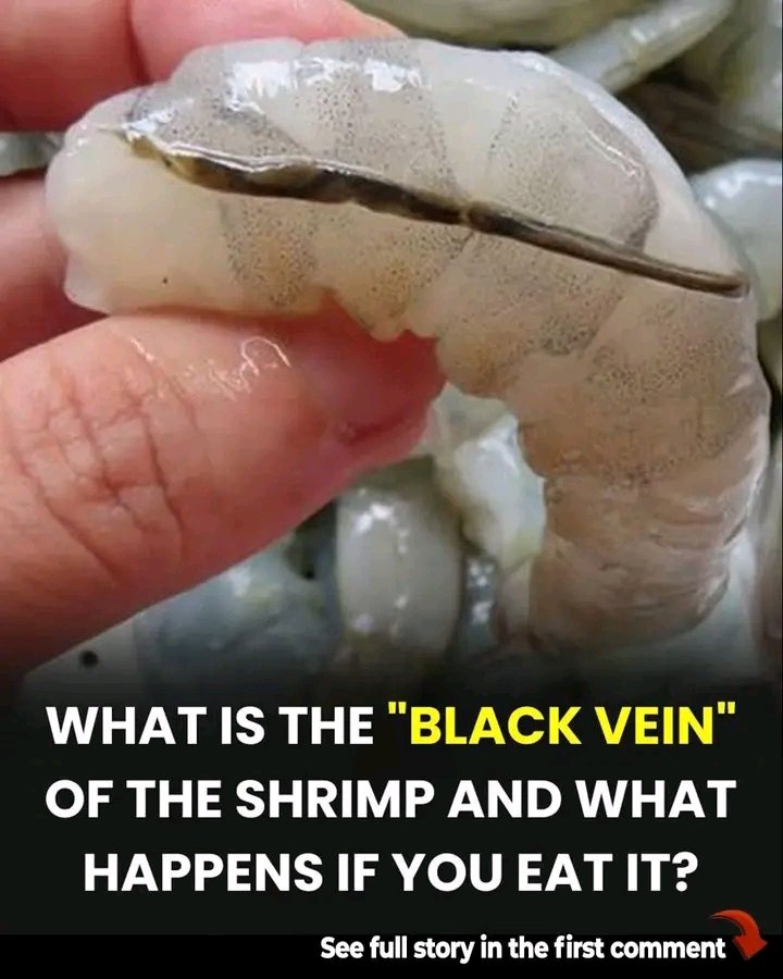 What is actually the shrimp’s vein… See more