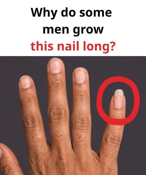 Why do some men grow this nail long.