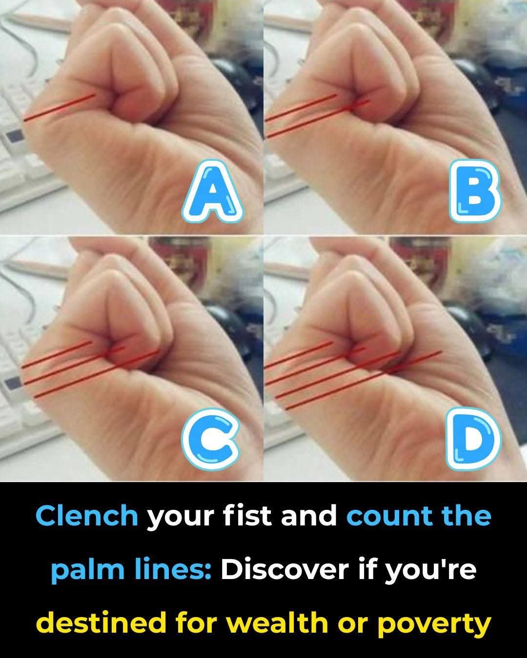 Count the lines on your palm and discover what they might mean for your future .