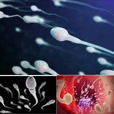 Doctors Reveal That Swallowing Leads to… See More