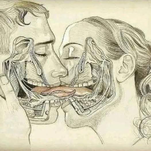 What Happens When We Tongue Kiss?
