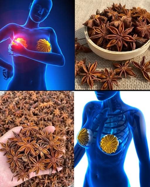 Every woman should know that the anise seed has the power to…. See more